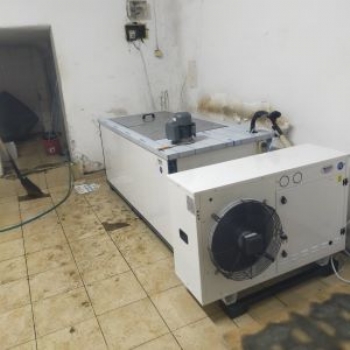 SALAMURA BUZ MAKİNASI